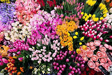 像素风生活模拟《月光石岛》：全新DLC“魔法DLC”即将上线