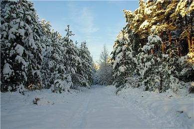 食我铁甲钢拳啦！《迅狼疾步》STEAM发售