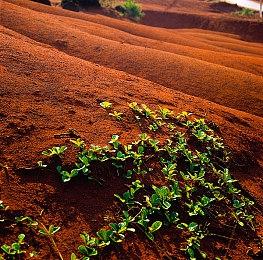 年度烂作还有竞争者 《行尸走肉：命运》静态过场遭吐槽